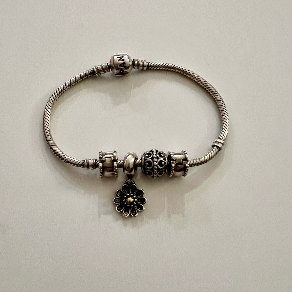 Pandora Bracelet with Charms